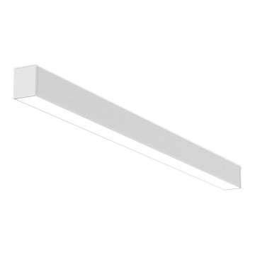 LED2 - LED Dimbar taklampa NOLI LED/40W/230V 3000K/3500K/4000K vit
