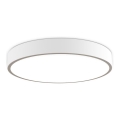 LED2 - LED Dimbart takarmatur MONO LED/100W/230V 3000K/4000K vit