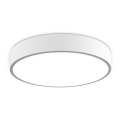 LED2 - LED Dimbart takarmatur MONO LED/60W/230V 3000K/4000K vit