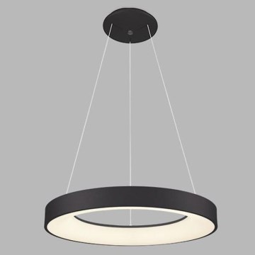 LED2 - LED Ljuskrona med snöre BELLA LED/40W/230V 3000/4000K svart