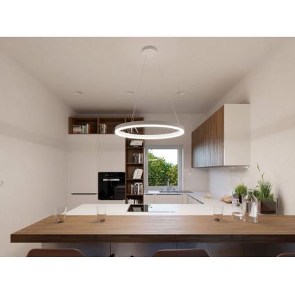 LED2 - LED Ljuskrona med snöre CIRCLE LED/42W/230V