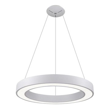 LED2 - LED ljuskrona med upphängningsrem SATURN LED/50W/230V 3000K diameter 60 cm vit