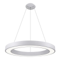 LED2 - LED ljuskrona med upphängningsrem SATURN LED/80W/230V 3000K diameter 80 cm vit