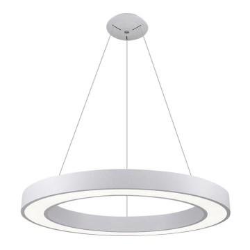 LED2 - LED ljuskrona med upphängningsrem SATURN LED/80W/230V 3000K diameter 80 cm vit