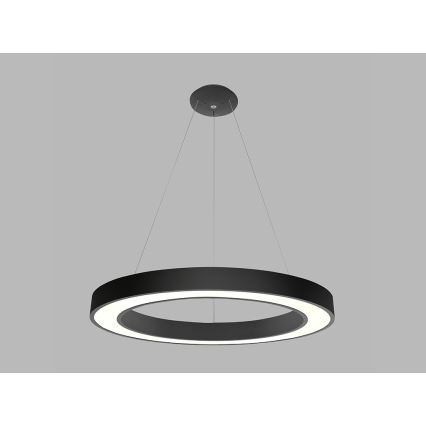 LED2 - LED ljuskrona med upphängningsrem SATURN LED/80W/230V 4000K diameter 80 cm svart