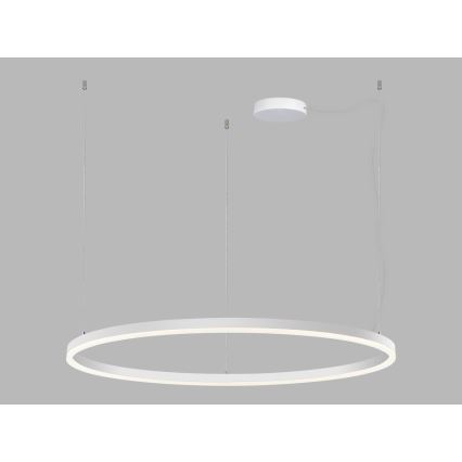 LED2 - LED ljusreglerad ljuskrona på textilsladd CIRCLE LED/80W/230V 3000K/4000K diameter 100 cm vit