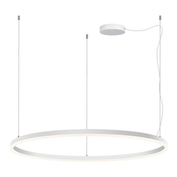 LED2 - LED ljusreglerad ljuskrona på textilsladd CIRCLE LED/80W/230V 3000K/4000K diameter 100 cm vit