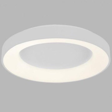 LED2 - LED Takbelysning BELLA LED/40W/230V 3000/4000K vit
