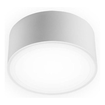 LED2 - LED Taklampa  BUTTON LED/12W/230V CRI 90 vit
