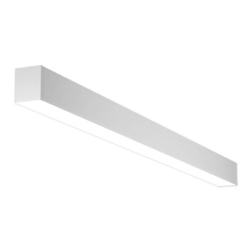 LED2 - LED taklampa NOLI LED/40W/230V 3000K/3500K/4000K vit