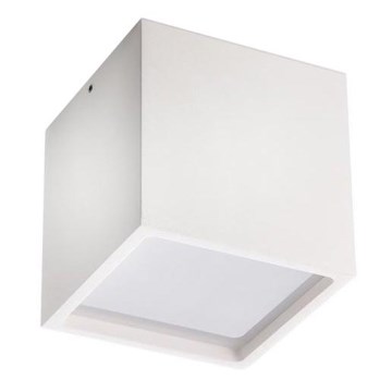 LED2 - LED Utomhus Takbelysning CUBE LED/12W/230V vit