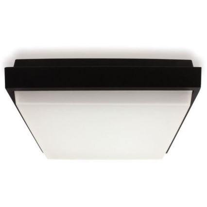 LED2 - LED Utomhus Takbelysning QUADO LED/10W/230V antracit IP54