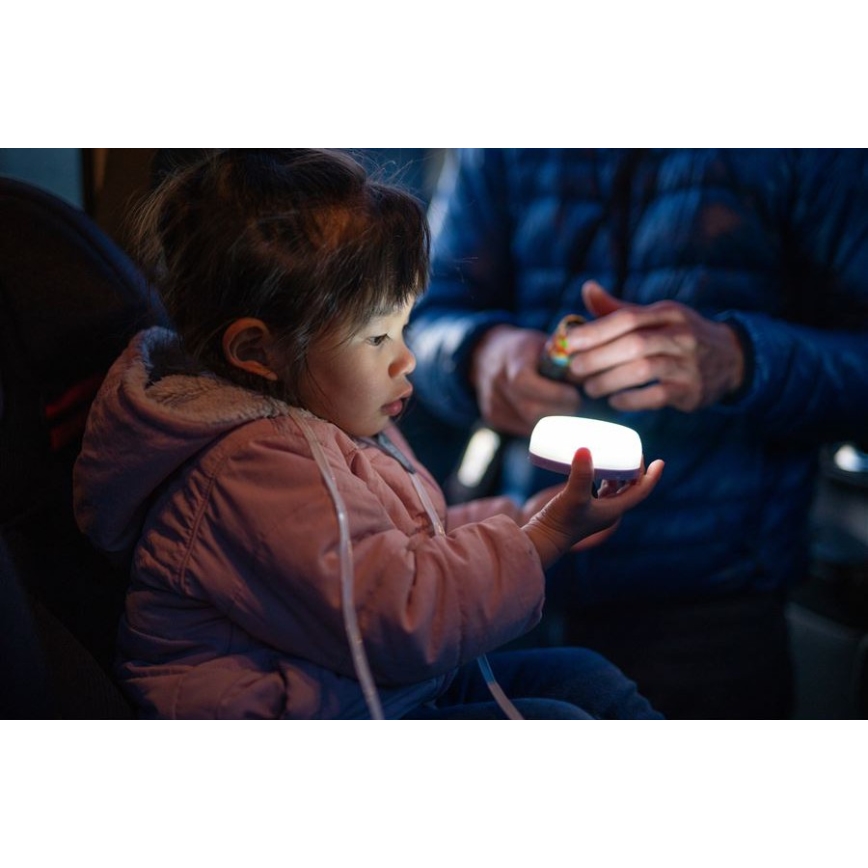 Ledlenser KIDCAMP6 DINO - dimbar, bärbar LED-lampa, LED/3xAAA, IP44, grön