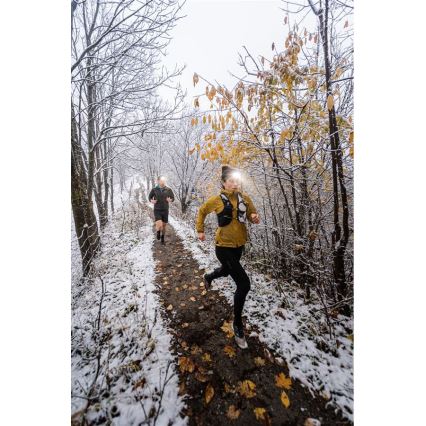 Ledlenser NEO5R - Dimmbar LED-uppladdningspannlampa LED/1800 mAh IP54 600 lm 35 h blå