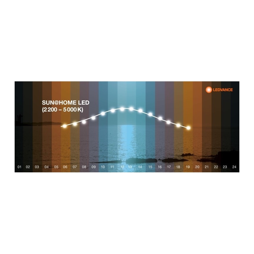 Ledvance - LED Dimbart golvlampa SUN@HOME LED/36W/230V 2200-5000K CRI 95 Wi-Fi