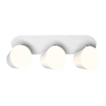 Ledvance - LED Badrum spotlight SPOT 3xLED/7W/230V IP44 3000/4000K
