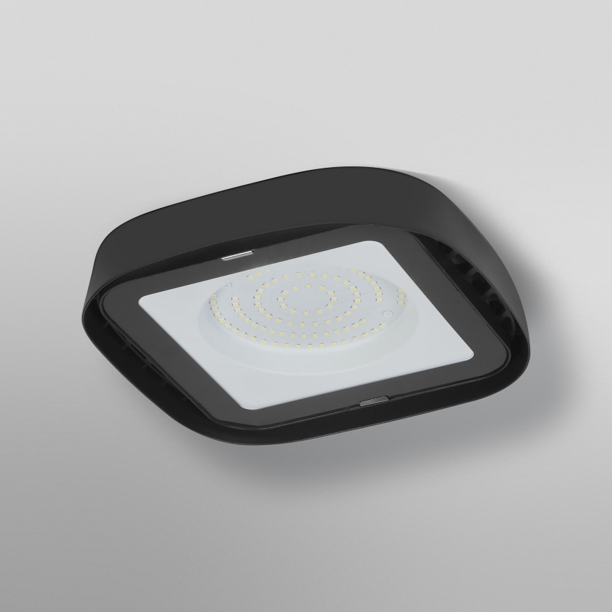 Ledvance - LED industriell taklampa HIGHBAY LED/80W/230V IP65 6500K
