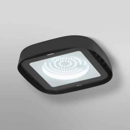 Ledvance - LED industriell taklampa HIGHBAY LED/80W/230V IP65 6500K
