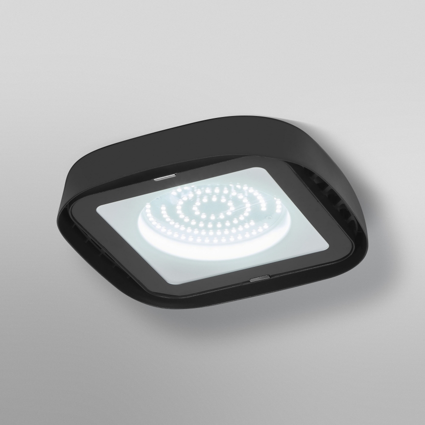Ledvance - LED industriell taklampa HIGHBAY LED/80W/230V IP65 6500K