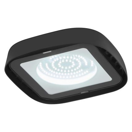 Ledvance - LED industriell taklampa HIGHBAY LED/80W/230V IP65 6500K