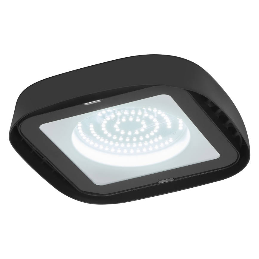 Ledvance - LED industriell taklampa HIGHBAY LED/80W/230V IP65 6500K