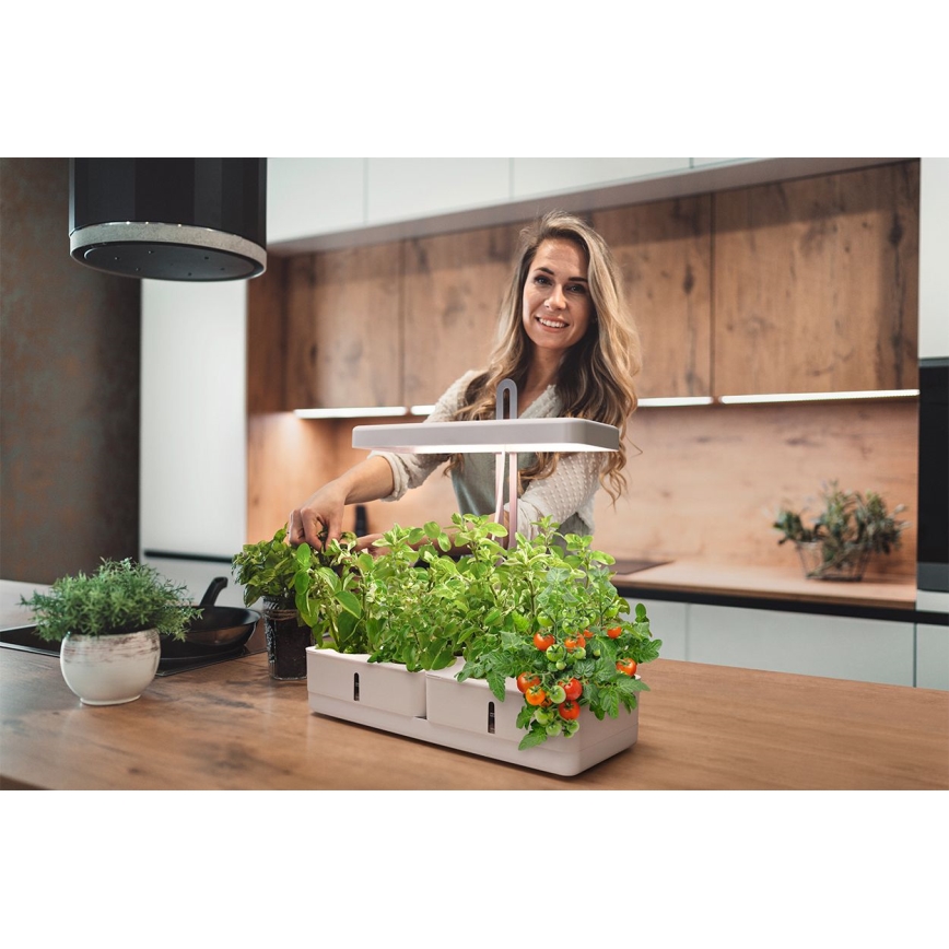 Ledvance - LED inomhuslampa för växter GARDEN KIT LED/24W/230V