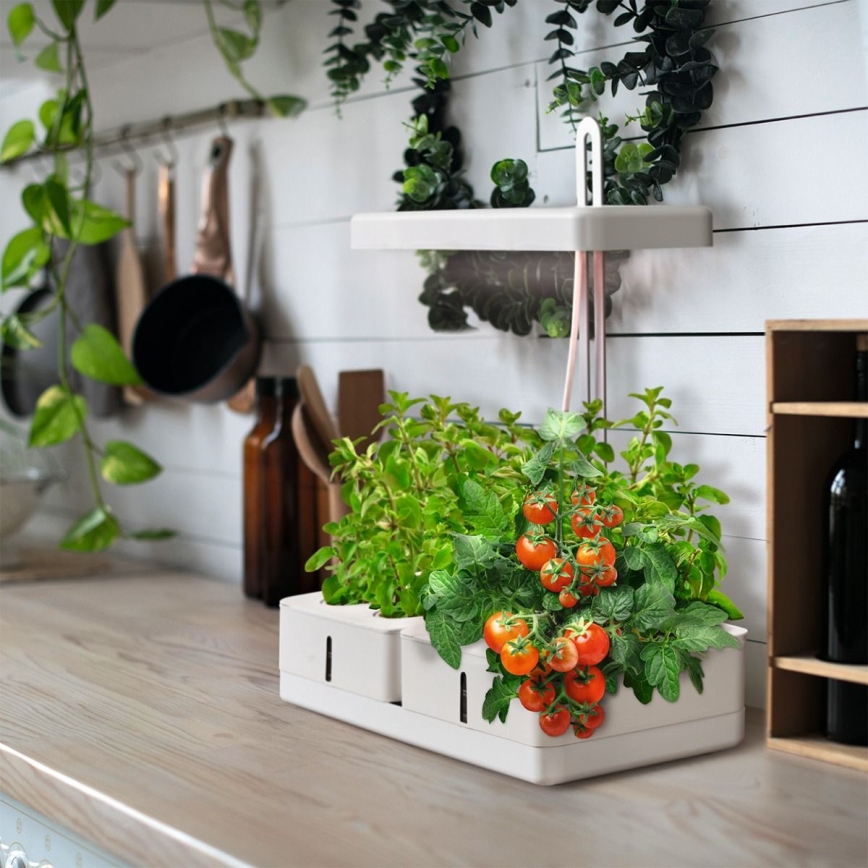Ledvance - LED inomhuslampa för växter GARDEN KIT LED/24W/230V
