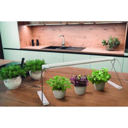 Ledvance - LED inomhuslampa för växter GARDEN LIGHT LED/14W/230V