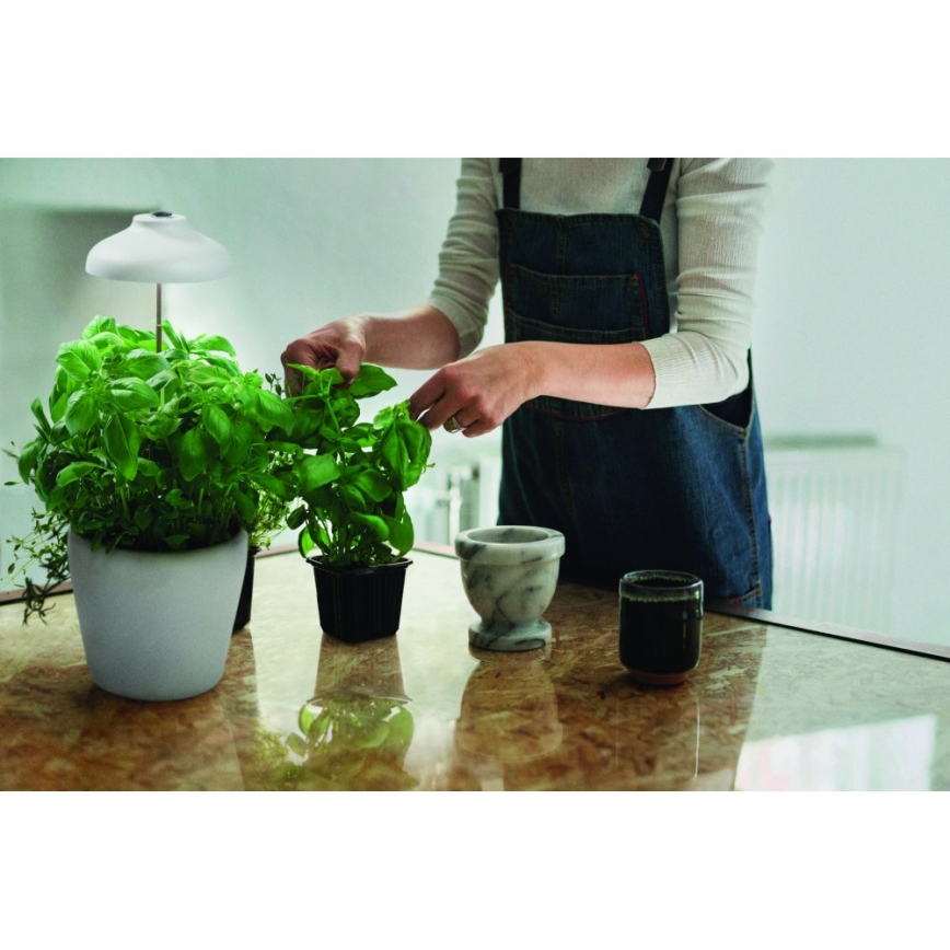 Ledvance - LED inomhuslampa för växter GARDEN LIGHT LED/5W/5V