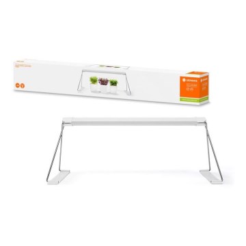 Ledvance - LED Interiör lampa TRÄDGÅRDS BELYSNING LED/14W/230V