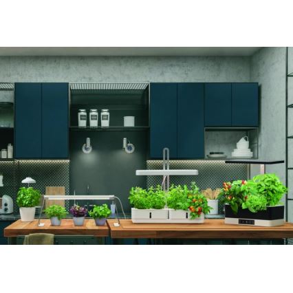 Ledvance - LED Interiör lampa TRÄDGÅRDS BELYSNING LED/14W/230V
