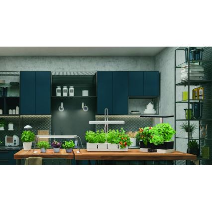 Ledvance - LED Interiör lampa TRÄDGÅRDS BELYSNING LED/5W/5V