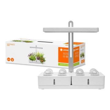 Ledvance - LED Interiör lampa TRÄDGÅRDS KIT LED/24W/230V