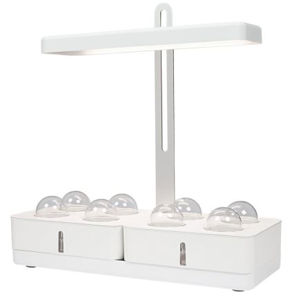 Ledvance - LED Interiör lampa TRÄDGÅRDS KIT LED/24W/230V
