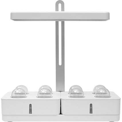 Ledvance - LED Interiör lampa TRÄDGÅRDS KIT LED/24W/230V