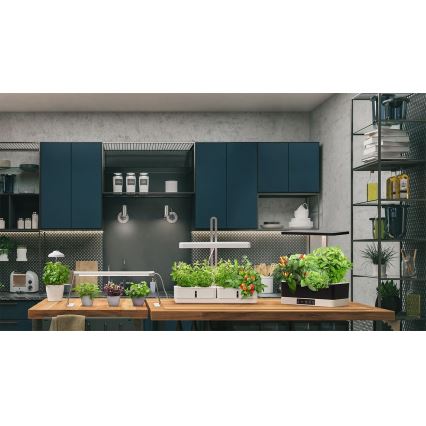 Ledvance - LED Interiör lampa TRÄDGÅRDS KIT LED/24W/230V