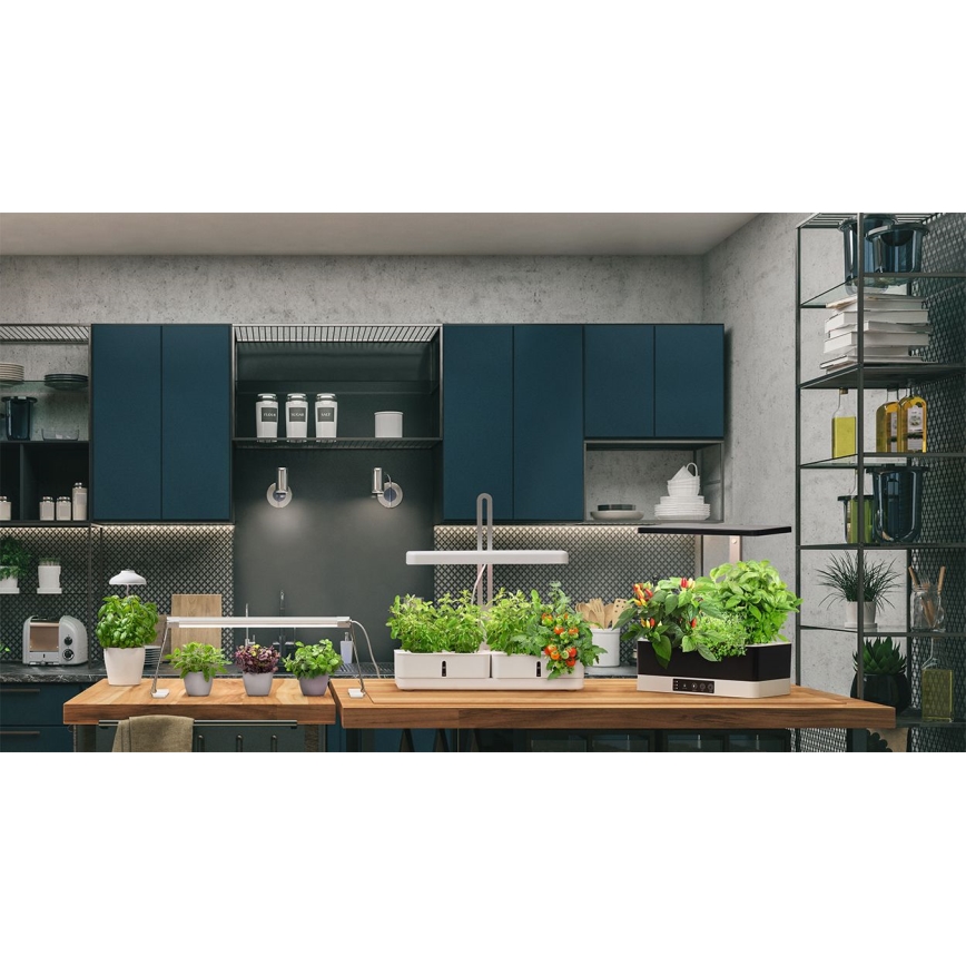 Ledvance - LED Interiör lampa TRÄDGÅRDS KIT LED/24W/230V