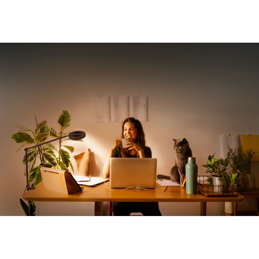 Ledvance - LED ljusreglerad lampa med klämma SUN@HOME LED/15W/230V 2200-5000K CRI 95 Wi-Fi
