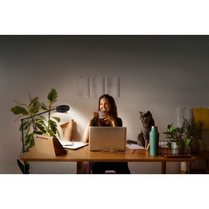 Ledvance - LED ljusreglerad lampa med klämma SUN@HOME LED/15W/230V 2200-5000K CRI 95 Wi-Fi