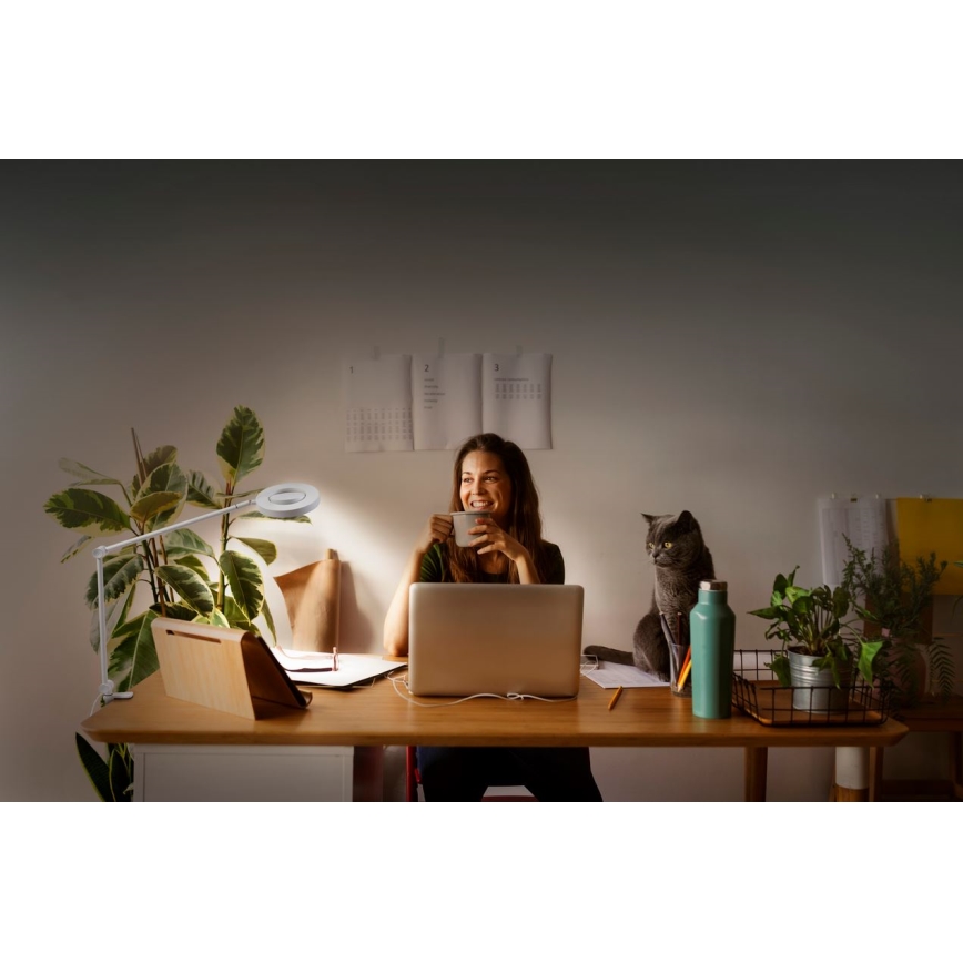 Ledvance - LED ljusreglerad lampa med klämma SUN@HOME LED/15W/230V 2200-5000K CRI 95 Wi-Fi