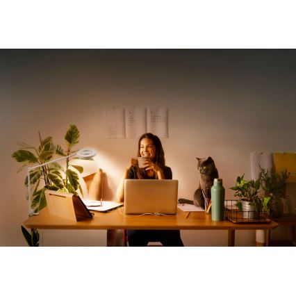 Ledvance - LED ljusreglerad lampa med klämma SUN@HOME LED/15W/230V 2200-5000K CRI 95 Wi-Fi