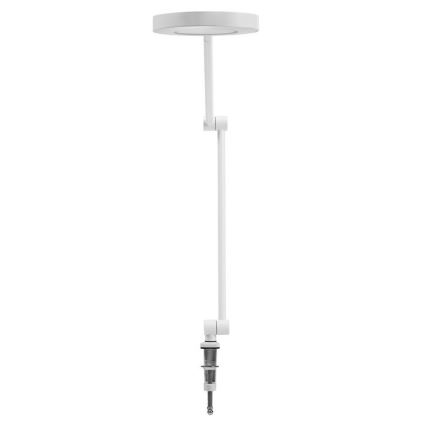Ledvance - LED ljusreglerad lampa med klämma SUN@HOME LED/15W/230V 2200-5000K CRI 95 Wi-Fi
