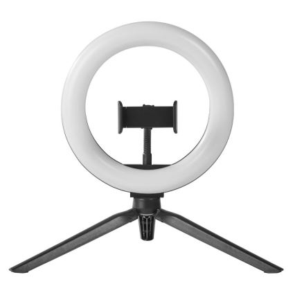 Ledvance - LED Dimbar bordslampa med stativ och hållare för vloggning LED/5,5W/USB 3000/4000/6500K