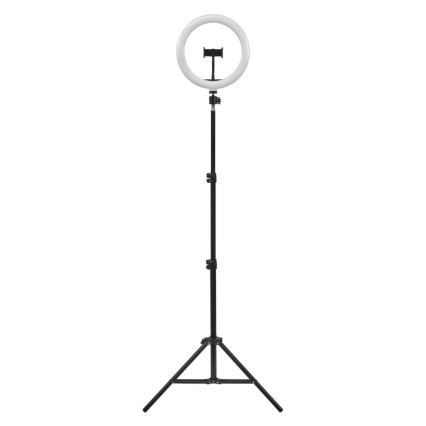 Ledvance - LED Dimbar golvlampa med stativ och hållare för vloggning LED/6W/USB 3000/4000/6500K