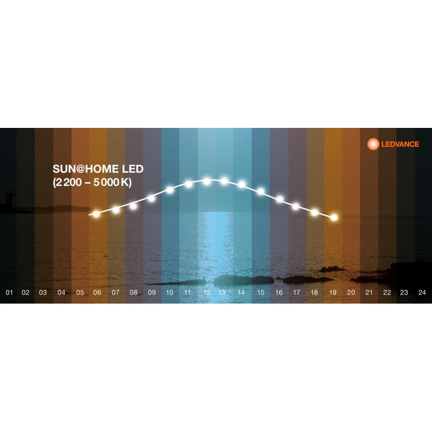 Ledvance - LED ljusreglerad bordslampa touch SUN@HOME LED/20W/230V 2200-5000K CRI 95 Wi-Fi