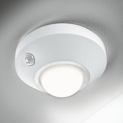 Ledvance - LED nattlampa med sensor NIGHTLUX LED/1,7W/3xAA 4000K