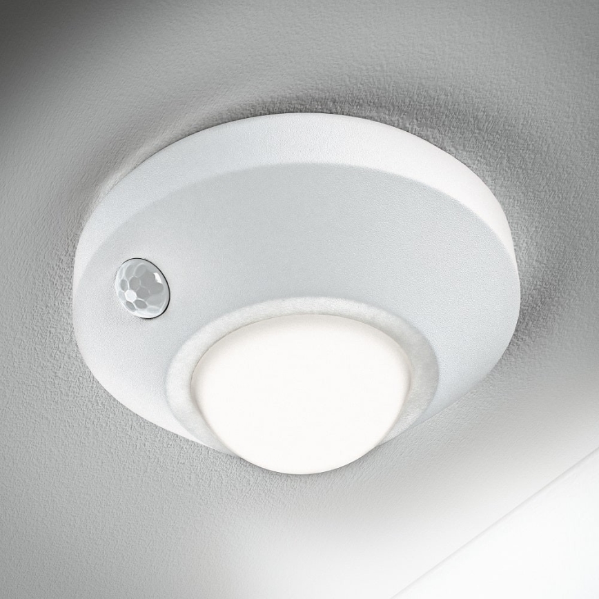 Ledvance - LED nattlampa med sensor NIGHTLUX LED/1,7W/3xAA 4000K