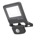 Ledvance - LED Strålkastare ENDURA med sensor LED/20W/230V IP44