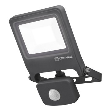 Ledvance - LED Strålkastare ENDURA med sensor LED/20W/230V IP44