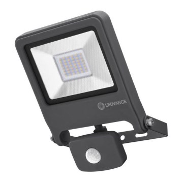 Ledvance - LED Strålkastare ENDURA med sensor LED/30W/230V IP44